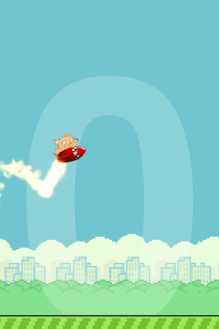 Flappy Rocket Cat - he's got a rocket to go after the bird! screenshot 2