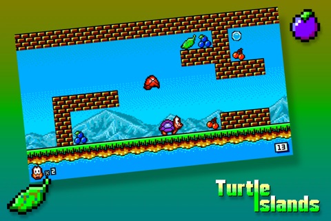 Turtle Islands screenshot 2
