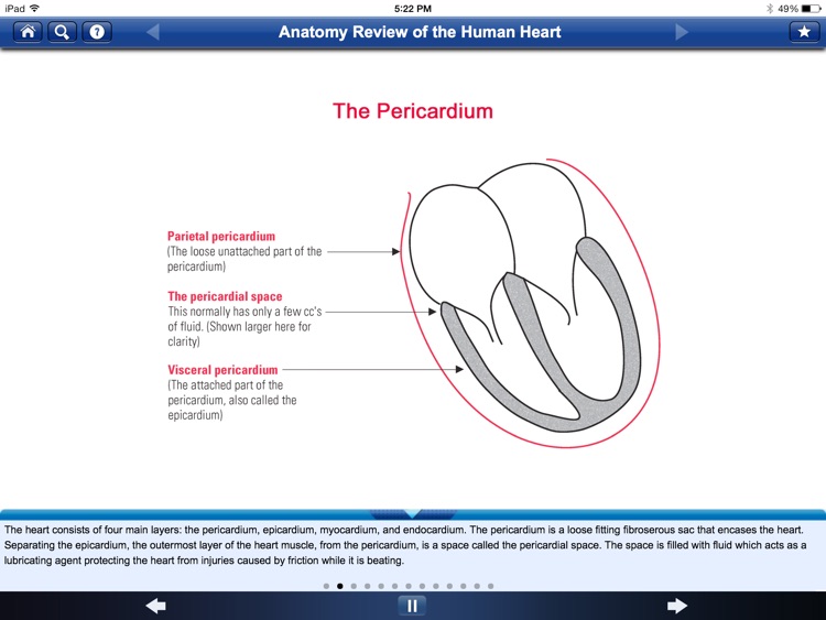 Clinical EKG Modules screenshot-4