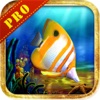 Adventure Of Neo 2 - The Celebrity Fish Pro