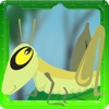 A Cricket Dash And Jump Lite - Don't Stay Or Make Jump Twodots Or It Might Rain With Rocks