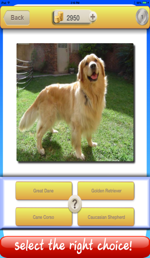 555 Dog Breed Quiz - Guessing your puppy family(圖5)-速報App