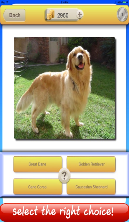 555 Dog Breed Quiz - Guessing your puppy family screenshot-4