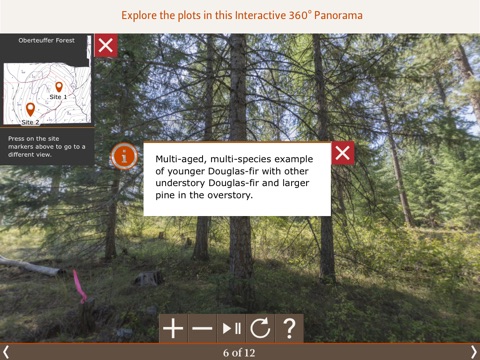 Alternative Forest Management in Oregon screenshot 2