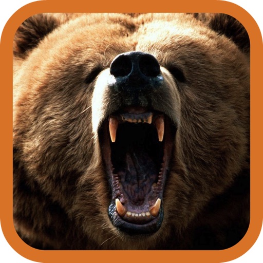 Brown Bear Hunting Icon