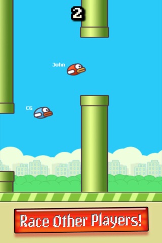 Bird Racing screenshot 3