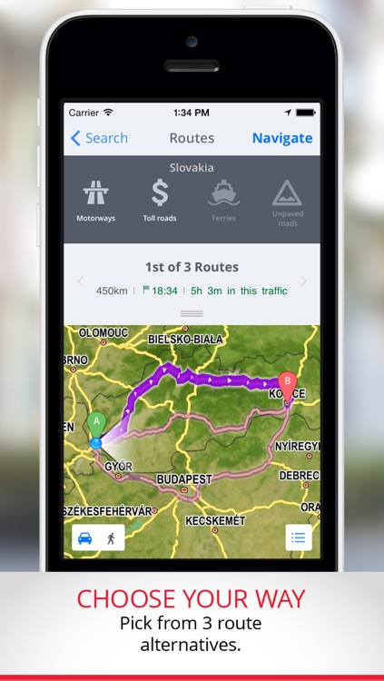 Sygic Central Europe: GPS Navigation