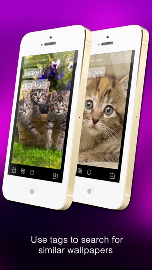 Wallfive HD Wallpapers - My Little Kittens(圖2)-速報App