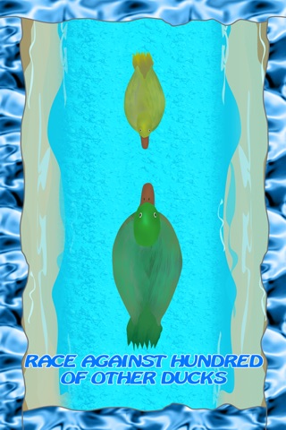 Tiny Plastic Duck Racing : Summer Water Race to Win - Free Edition screenshot 4