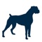 Dog Breeds 101 provides in-depth information to 80+ of the most popular canine breeds