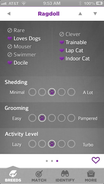 Purrfect Cat Free - The Ultimate Breed Guide To Perfect Cats screenshot-4