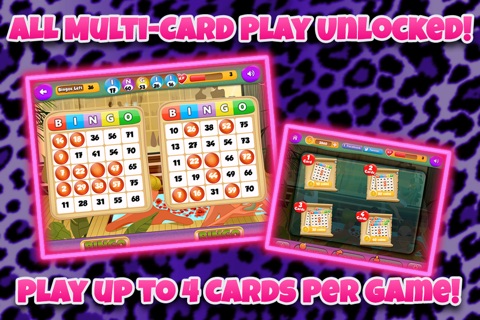 Bingo Chic - Free Multicard Bingo Casino screenshot 3