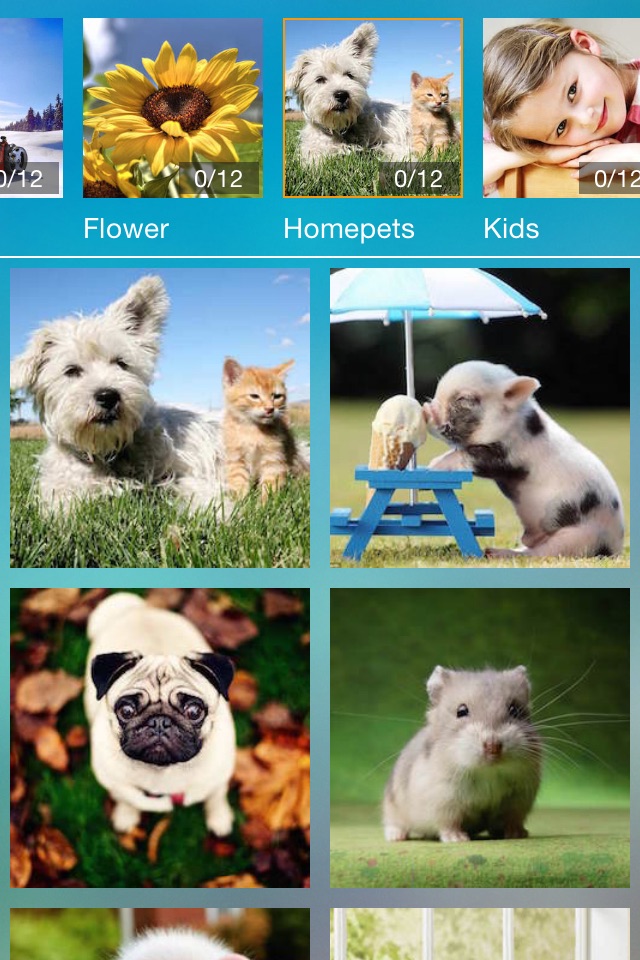 Swap me! - Free animal jigsaw puzzle screenshot 2