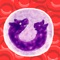 The Small Animal Differential Cell Counter is a tool to allow the veterinary clinician to easily perform manual white blood cell differential counts