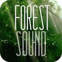 Forest Sound for Sleep and Meditation