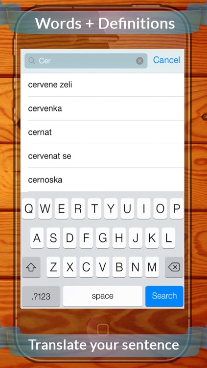 Spanish Czech Dictionary With Translator & Search screenshot-3