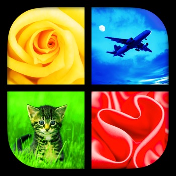 Foto Quiz - Welk woord?