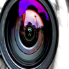Photography Fundamentals  PC 용
