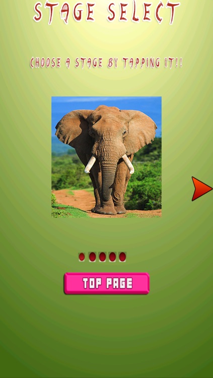 Sliding Animal Puzzle Game