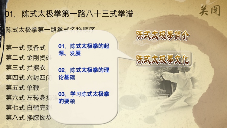 陈式太极拳-武术名家讲解示范,Chen Tai-chi, A Kind of Traditional Chinese Shadowboxing screenshot-3