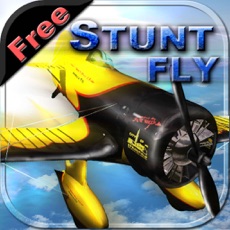 Activities of Stunt Fly Free