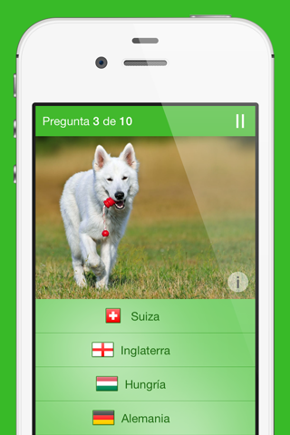 iKnow Dogs Quiz screenshot 4