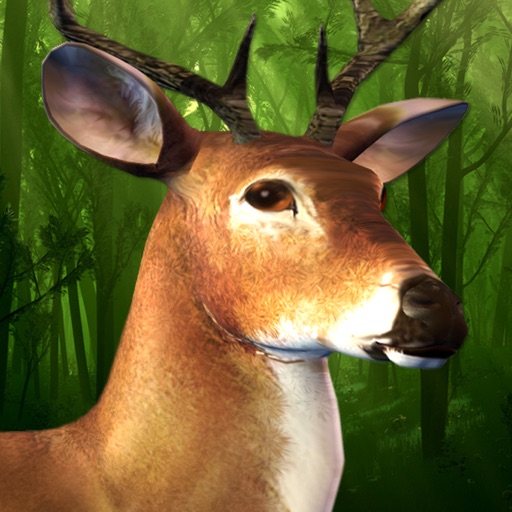 Primal Deer Hunting 2016 iOS App