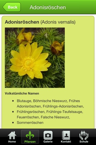 Phytotherapie für Heilpraktiker screenshot 3