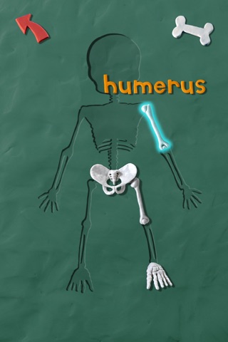 Skeleton Dance by Busy Brain Media - The Fun Educational Puzzle Game that Teaches Kids the Name and Position of Bones in the Human Body as well as Facts About Their Anatomy as They Play. screenshot 2