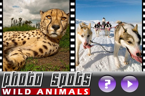 Photo Spots Wild Animals screenshot 3