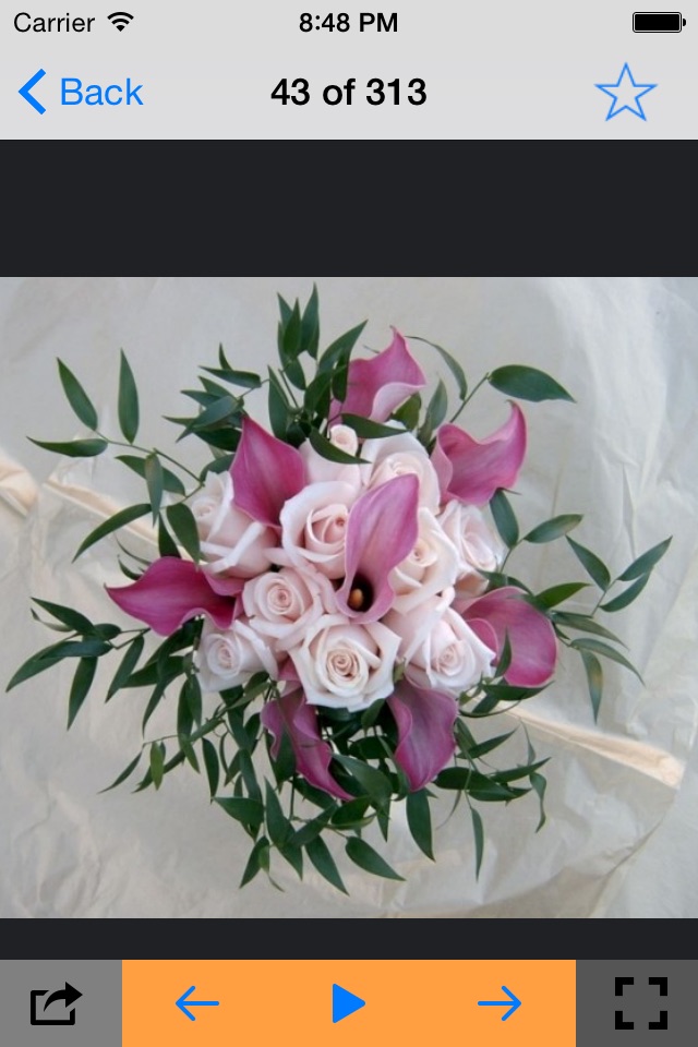 Wedding Bouquet Ideas screenshot 3