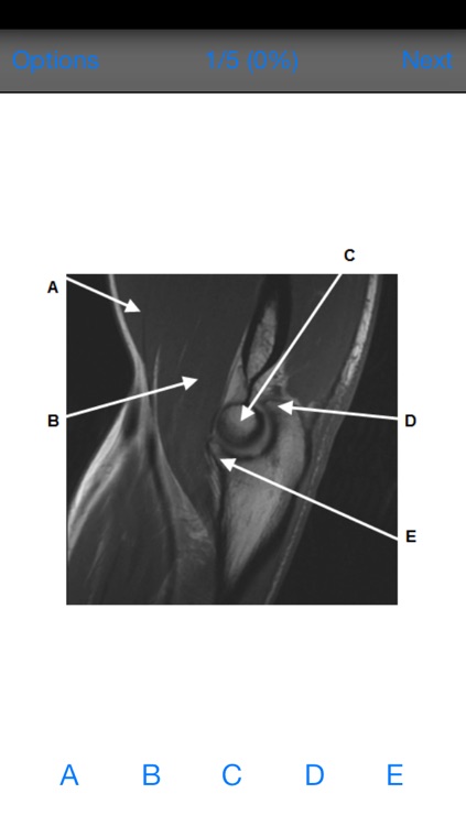FRCR Radiological Anatomy