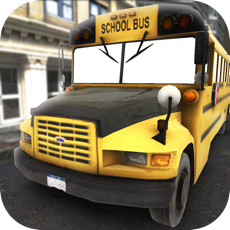 Activities of School Bus License