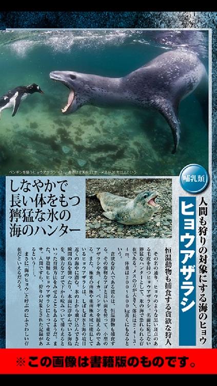 超巨大生物100以上!すべて本物!都市伝説なし! screenshot-4