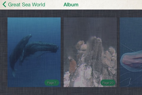 海の世界AR screenshot 2