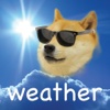 Doge Weather!