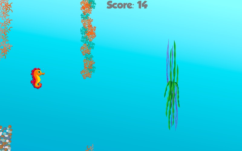 Caspian Seahorse thumbnail 2