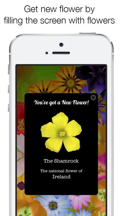 Bloom Free - Let flowers bloom with a tap on the screen -