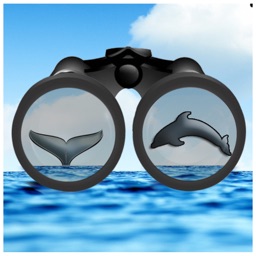 See & ID Dolphins & Whales