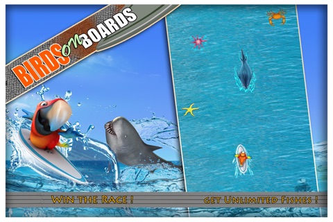 Birds on Boards Pro Game: Tiny Parrots Water adventure Race screenshot 3