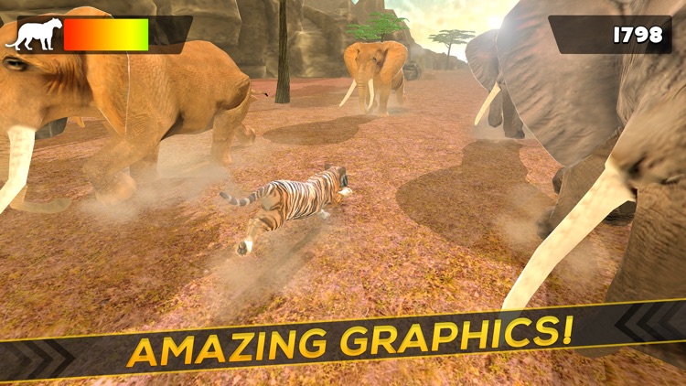 Tiger World | Free Tigers Simulator Racing Game For Kids