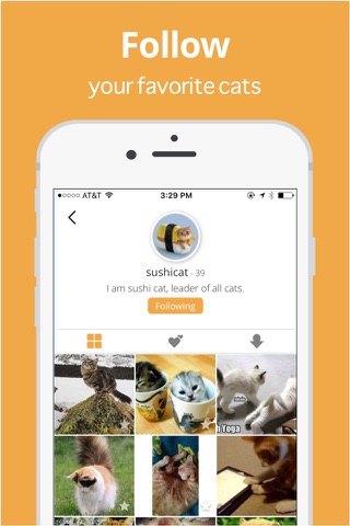 Cats App screenshot 3