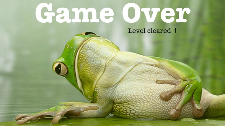 Kaeru Jump Free screenshot-4