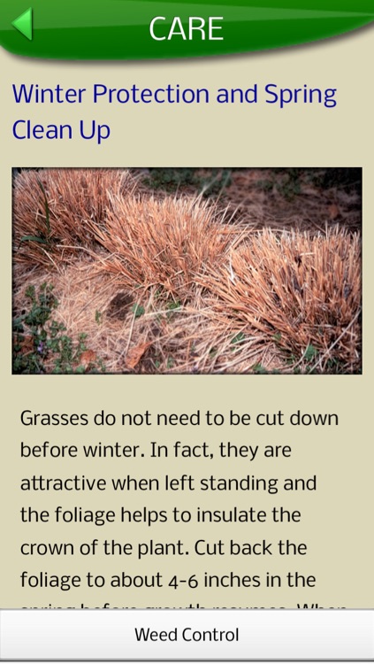 Midwest Ornamental Grasses screenshot-3