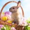 Spring & Easter Wallpapers - Cute Backgrounds for Your Phone