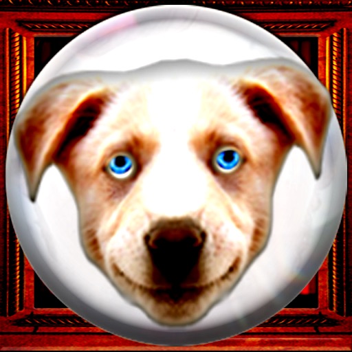 Dave's Crystal Ball - lite version icon