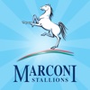 Marconi Stallions Football Club