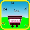 Catch it: Learn Spanish masculine and feminine