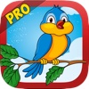 Bird Rush Pro