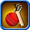 Stickman Flick Cricket World Series - Full Version